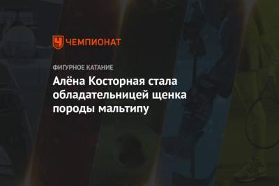 Этери Тутберидзе - Алена Косторная - Алёна Косторная стала обладательницей щенка породы мальтипу - championat.com