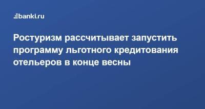 Зарина Догузова - Ростуризм рассчитывает запустить программу льготного кредитования отельеров в конце весны - smartmoney.one