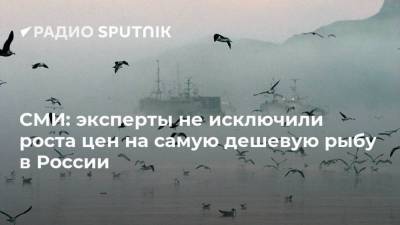 Виктория Абрамченко - СМИ: эксперты не исключили роста цен на самую дешевую рыбу в России - smartmoney.one - Владивосток