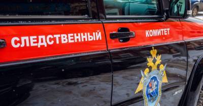 Сибирячка расчленила своего сожителя и спрятала его тело в холодильнике - readovka.ru - Красноярск