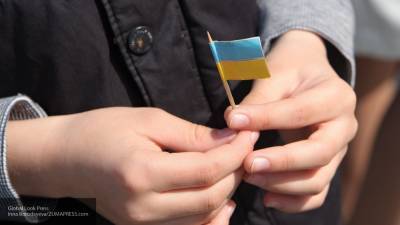 Украинский бизнесмен назвал две причины экономической гибели Украины - newinform.com - Украина - Киев - Эмираты