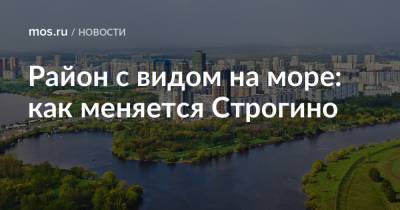 Район с видом на море: как меняется Строгино - mos.ru - Москва - Благоустройство