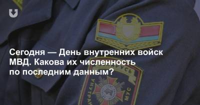 Сегодня — День внутренних войск МВД. Какова их численность по последним данным? - news.tut.by - Витебск