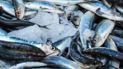 В Росрыболовстве опровергли сообщения о повышении цен на рыбу - delovoe.tv - Санкт-Петербург