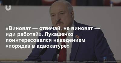 «Виноват — отвечай, не виноват — иди работай». Лукашенко поинтересовался наведением «порядка в адвокатуре» - news.tut.by