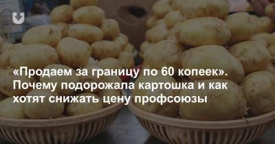 Картошка за два месяца подорожала на 20%. Как это объясняют чиновники, торговля и фермеры - news.tut.by - Торговля