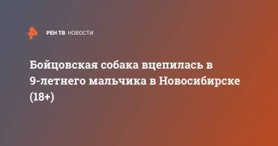 Бойцовская собака вцепилась в 9-летнего мальчика в Новосибирске (18+) - ren.tv - Новосибирск