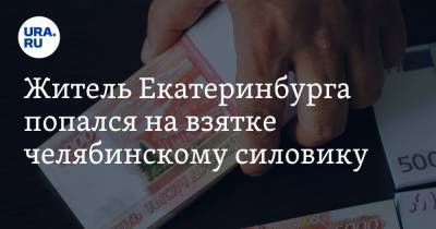 Житель Екатеринбурга попался на взятке челябинскому силовику - ura.news - Екатеринбург - Челябинская обл. - район Пластовский