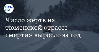 Число жертв на тюменской «трассе смерти» выросло за год - ura.news - Ханты-Мансийск - Тюмень
