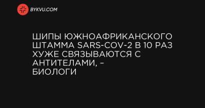 Шипы южноафриканского штамма SARS-CoV-2 в 10 раз хуже связываются с антителами, – биологи - bykvu.com - Бразилия - Юар