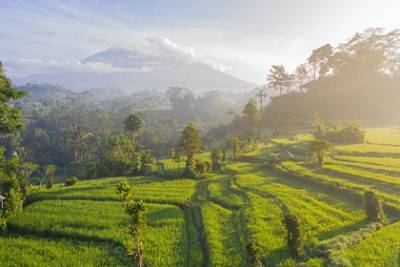 Джоко Видодо - На Бали объявили условие открытия острова для туристов летом 2021 года - lenta.ru - Индонезия