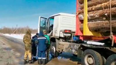 Михаил Мишустин - Правительство обяжет бизнес за 3 года компенсировать вырубку леса - vesti.ru