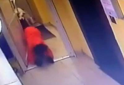 Хозяйка спокойно наблюдала, пока ее пёс терзал девятилетнего мальчика: "Отряхнулась и вернулась домой" - politeka.net - Новосибирск - Нападение