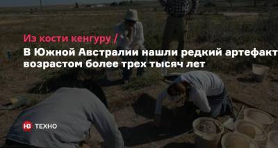 Из кости кенгуру. В Южной Австралии нашли редкий артефакт возрастом более трех тысяч лет - nv.ua - Австралия