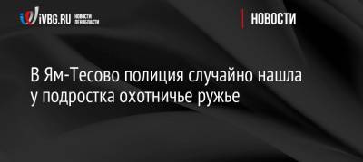 В Ям-Тесово полиция случайно нашла у подростка охотничье ружье - ivbg.ru - Ленобласть