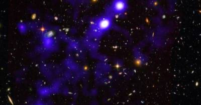 В космической паутине ученые обнаружили миллиарды карликовых галактик (фото) - focus.ua