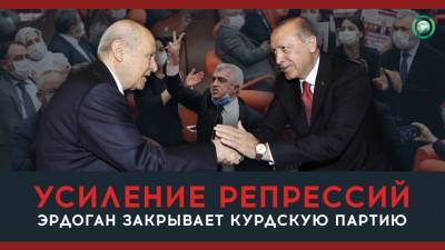 Почему Эрдоган решил распустить курдскую партию - riafan.ru - Турция
