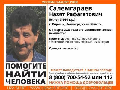Элизабет Алерт - В Киришах без вести пропал 56-летний мужчина - ivbg.ru