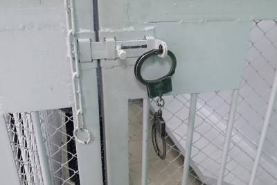 Читинский подросток арестован за пьяные угрозы и попытки ударить полицейских - chita.ru