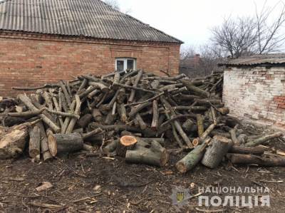 На Днепропетровщине трое незаконно уничтожали зеленые насаждения - news.bigmir.net - Кривой Рог - Днепропетровская обл.