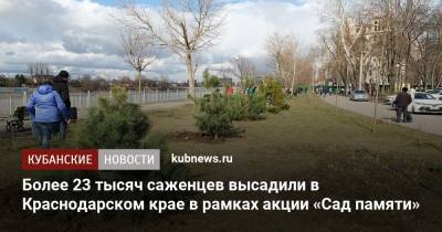 Более 23 тысяч саженцев высадили в Краснодарском крае в рамках акции «Сад памяти» - kubnews.ru - Краснодарский край - Новороссийск - Кубани