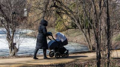 Нина Останина - В ГД предложили создать Социальный кодекс, объединяющий меры по поддержке материнства - m24.ru