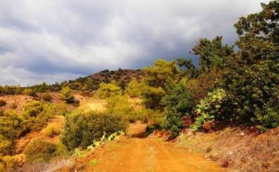 Посетите тропу Кипариссья - vkcyprus.com - Кипр