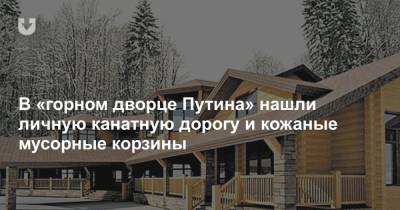 Владимир Путин - В «горном дворце Путина» нашли канатную дорогу, кожаные мусорки и рояль за 82 тысячи долларов - news.tut.by - Россия