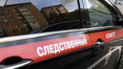 СК проводит проверку по факту массовой гибели пеликанов в Дагестане - russian.rt.com - Москва - респ. Дагестан
