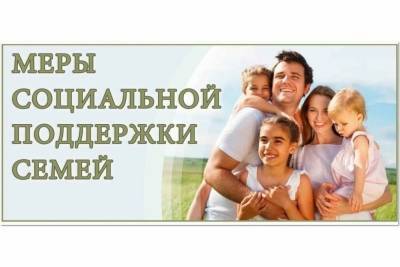 В Костромской области проанализировали объем мер соцподдержки семей с детьми - kostroma.mk.ru - Костромская обл.
