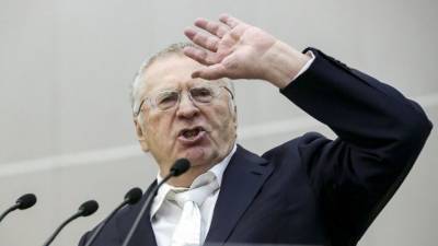 Владимир Жириновский - Жириновский призвал развивать в России собственные интернет-платформы - polit.info