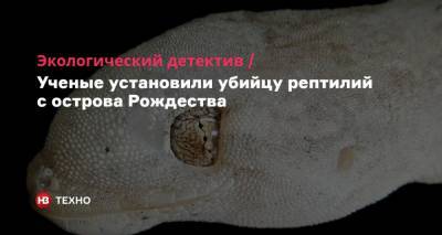 Экологический детектив. Ученые установили убийцу рептилий с острова Рождества - nv.ua - Австралия