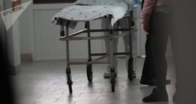 Ученик 10 класса нанес ножевые ранения 18-летнему парню в Ереване - ru.armeniasputnik.am - Ереван