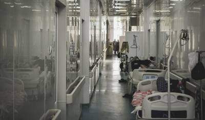 Владимир Соловьев - От коронавируса умерли более 20 российских журналистов - newizv.ru