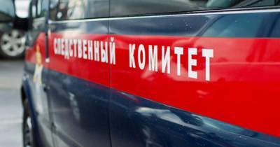 Екатерина Смирнова - Автомобиль с телами двух взрослых и ребенка обнаружили на улице в Туле - ren.tv - Тула - Тульская обл.