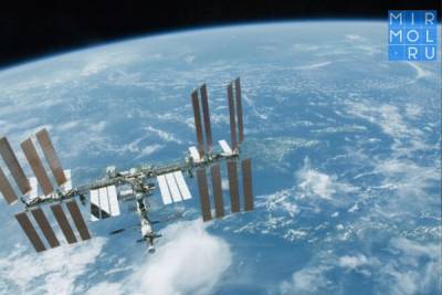 Космонавты с МКС проследят за миграцией птиц на Земле - mirmol.ru
