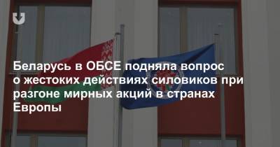 Беларусь в ОБСЕ подняла вопрос о жестоких действиях силовиков при разгоне мирных акций в странах Европы - news.tut.by - Англия - Лондон - Вена