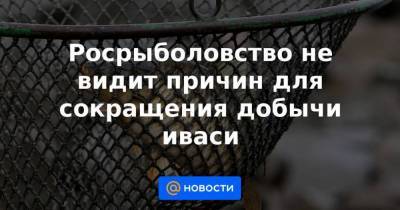 Росрыболовство не видит причин для сокращения добычи иваси - smartmoney.one - Москва