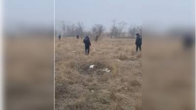 В Волгограде останки мужчины, растерзанного собаками, собирали два дня - vesti.ru - Волгоград - район Дзержинский
