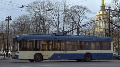 Илона Маску - «Не показывайте Илону Маску»: в Петербурге заметили «танцующий» троллейбус - 5-tv.ru - Россия - Санкт-Петербург