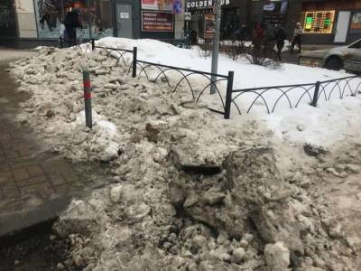 Антон Ястребцев - «Целая беда»: грязный снег оказался опасным - rosbalt.ru