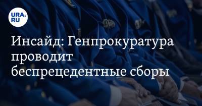 Владимир Путин - Инсайд: Генпрокуратура проводит беспрецедентные сборы - ura.news