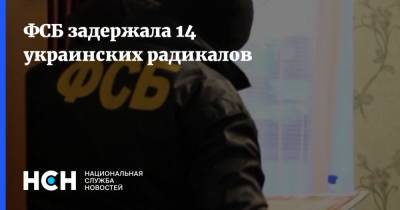 Егор Яковлев - Егор Краснов - ФСБ задержала 14 украинских радикалов - nsn.fm - Украина - Ярославль - Геленджик