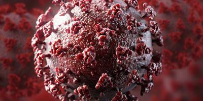 Повторное заражение коронавирусом возможно, если организм не выработал иммунитет, считает врач-инфекционист Юрий Жигарев - ТЕЛЕГРАФ - telegraf.com.ua - Киев