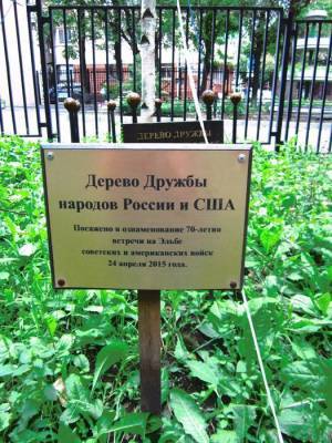 Как встреча на Эльбе поможет спасти планету - versia.ru