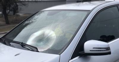 Под Запорожьем мужчина намеренно бросился под авто (видео) - tsn.ua - Запорожская обл. - Запорожье - Хмельницкая обл. - Бердянск