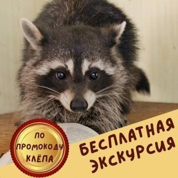 Ее знали все, она держала в страхе весь сад - vologda-poisk.ru