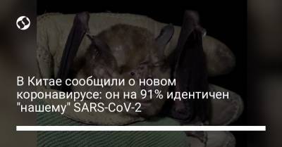 В Китае сообщили о новом коронавирусе: он на 91% идентичен "нашему" SARS-CoV-2 - liga.net