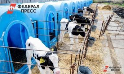 В Липецкой области рассказали о достижениях аграриев в 2020 году - smartmoney.one - Липецкая обл. - Липецк