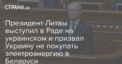 Президент Литвы выступил в Раде на украинском и призвал Украину не покупать электроэнергию в Беларуси - strana.ua - Литва